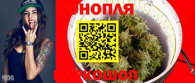 амф Заволжье